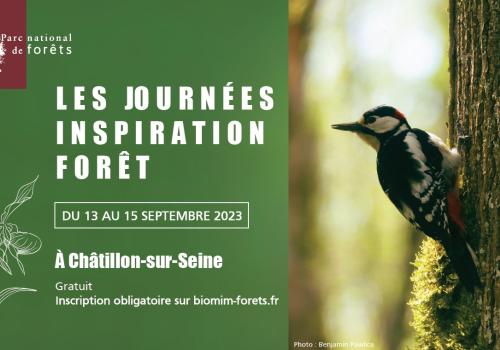 journées inspiration forêt