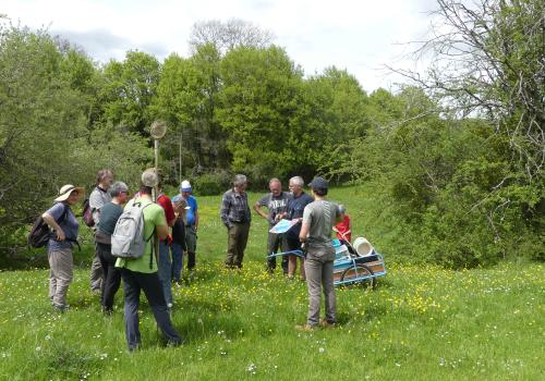 Sortie nature avec un groupe de gens en forêts lors d'une sortie avec le Parc national de forêts