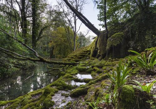 Source d'eau