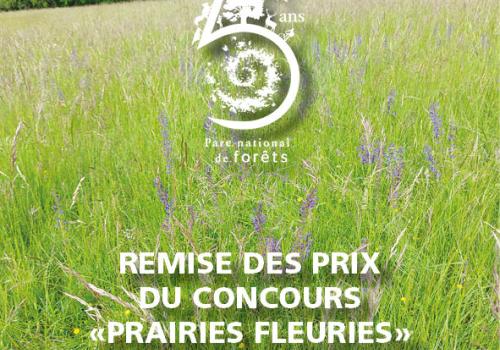 Prairies fleuries