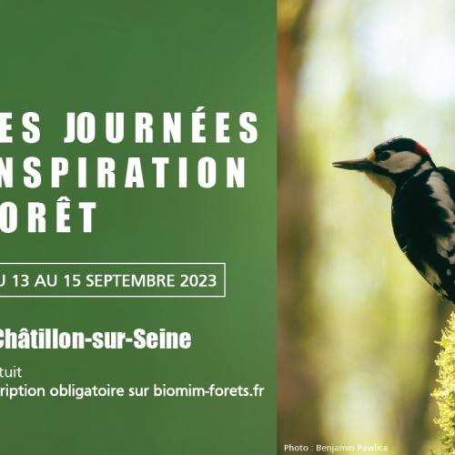 journées inspiration forêt