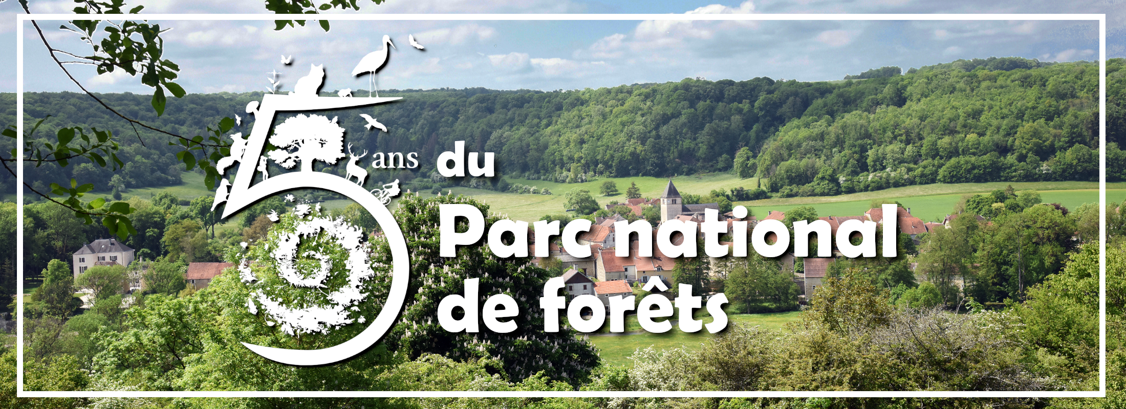 5 ans du Parc national de forêts