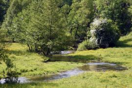 Cours d'eau