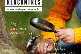 Site de rencontre