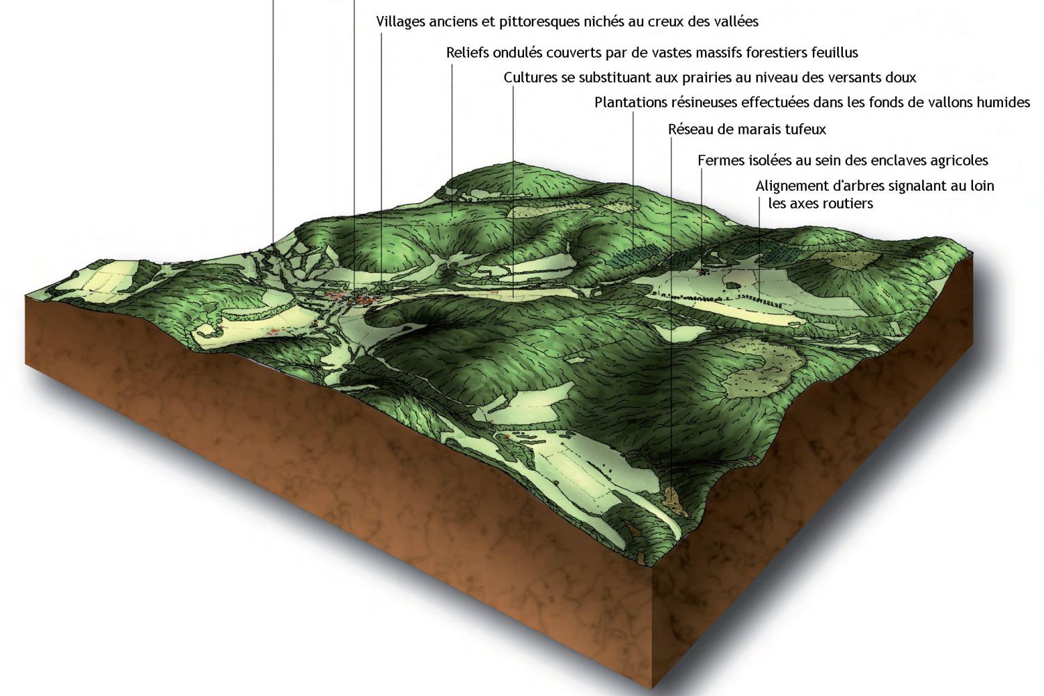 1343048394_3_2_bloc_diagramme_langrois_forestier3.jpg