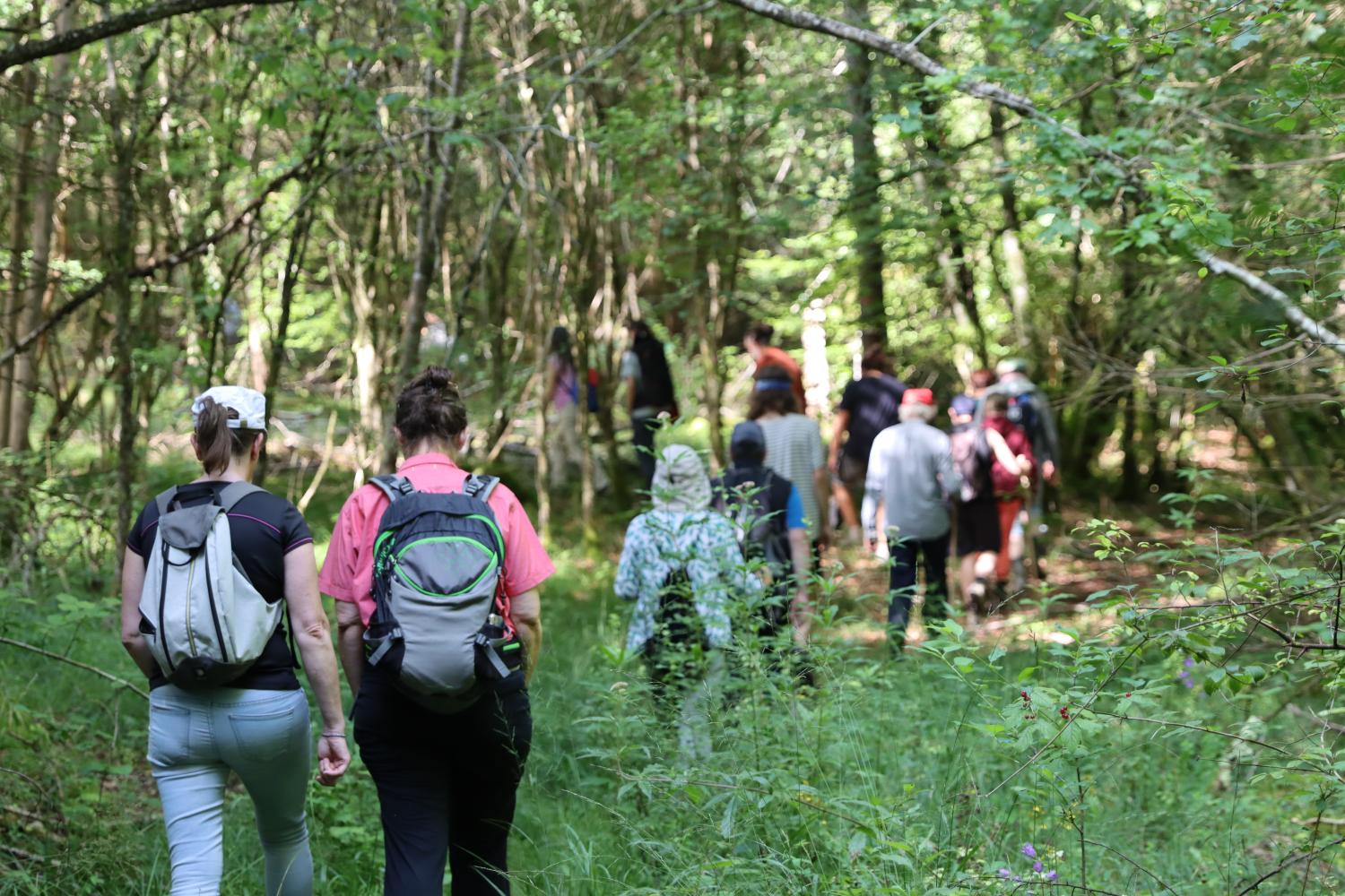 Randonnée en forêt et près des cours d'eau