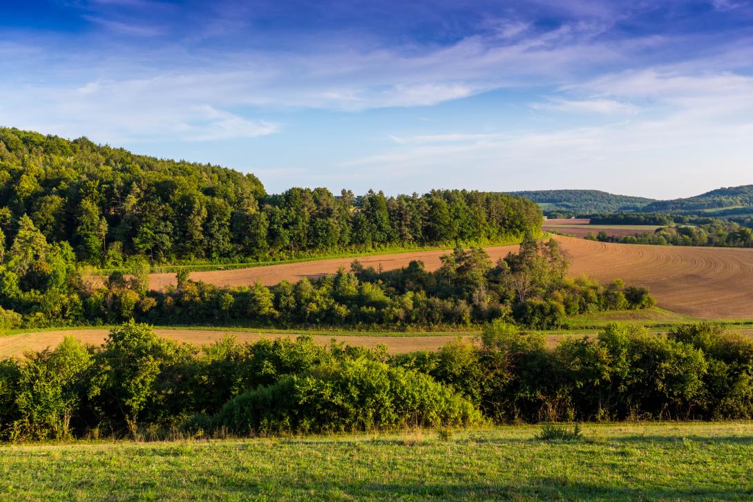 Paysage Philippe Chardon